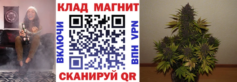 Купить закладку КОКАИН  Alpha PVP  ГАШ  Конопля  Галлюциногенные грибы  Меф мяу мяу  Новодвинск