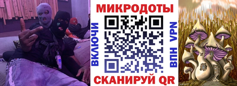 Галлюциногенные грибы мицелий  Купить  Новодвинск 